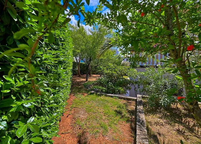 Appartement Iby Pula