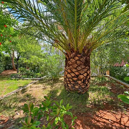 Апартаменты Iby *