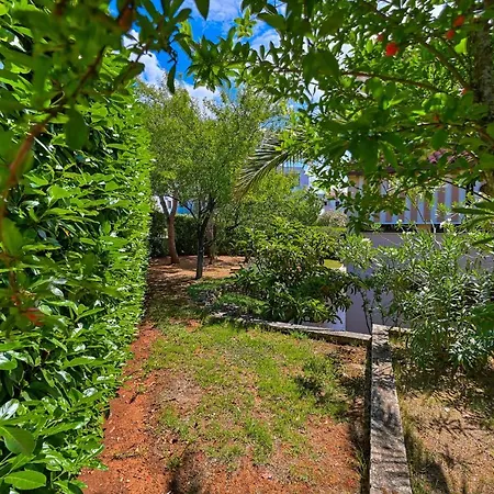 Апартаменты Iby Пула