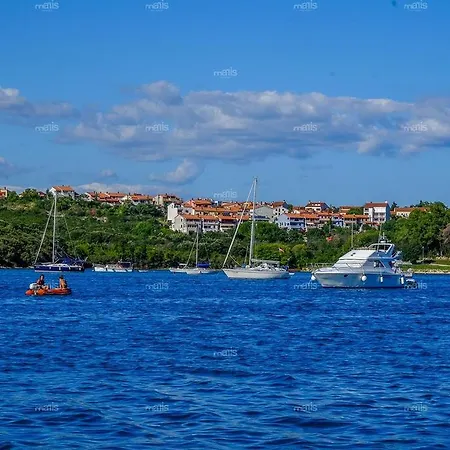 Апартаменты Iby